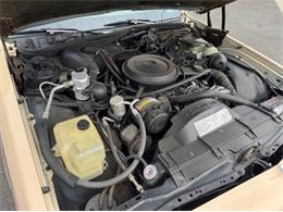 1988 Chevrolet Caprice (CC-1945302) for sale in Cadillac, Michigan