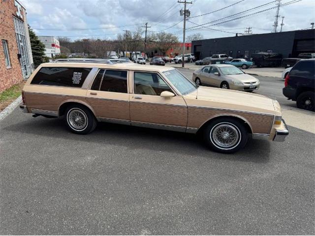 1988 Chevrolet Caprice (CC-1945302) for sale in Cadillac, Michigan
