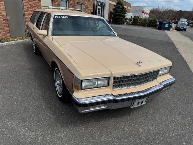 1988 Chevrolet Caprice (CC-1945302) for sale in Cadillac, Michigan
