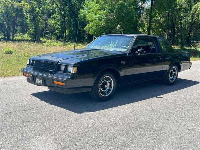1987 Buick Grand National (CC-1946049) for sale in Hobart, Indiana