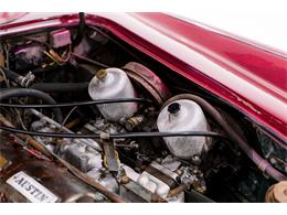 1960 Austin-Healey 3000 Mk III (CC-1947901) for sale in Montreal, Quebec