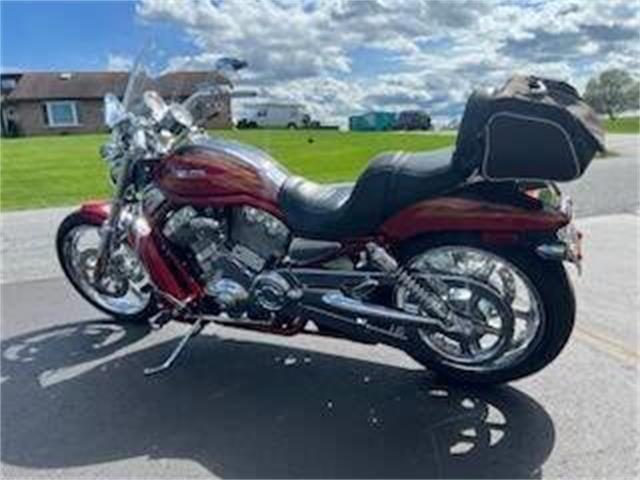 2005 Harley-Davidson V-Rod (CC-1948067) for sale in Clarksburg, Maryland