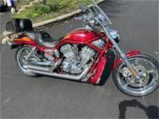 2005 Harley-Davidson V-Rod (CC-1948067) for sale in Clarksburg, Maryland