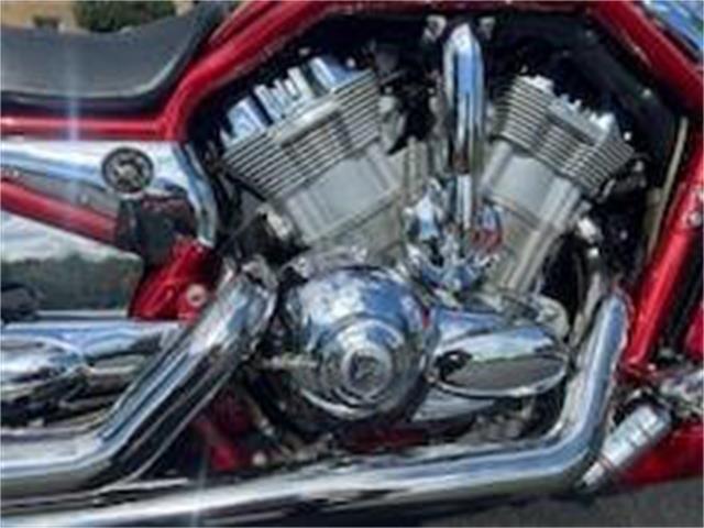 2005 Harley-Davidson V-Rod (CC-1948067) for sale in Clarksburg, Maryland
