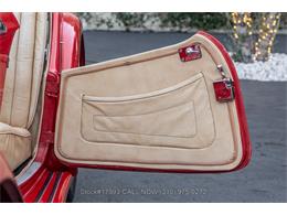 1949 MG TC (CC-1949014) for sale in Beverly Hills, California