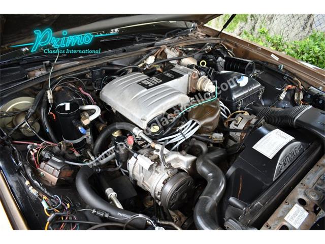 1986 Lincoln Town Car (CC-1949835) for sale in Lakeland, Florida