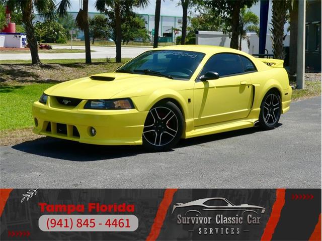 2001 Ford Mustang (CC-1951730) for sale in Palmetto, Florida