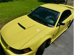 2001 Ford Mustang (CC-1951730) for sale in Palmetto, Florida