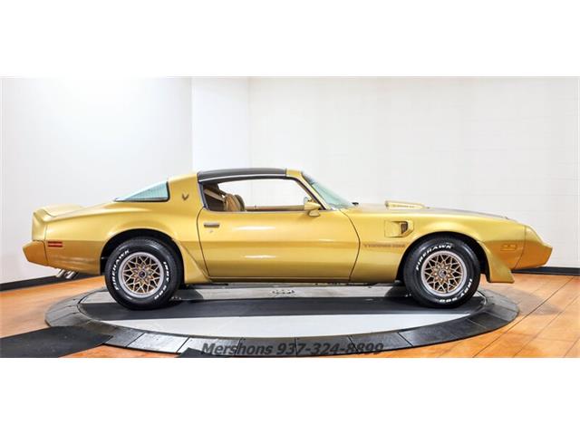1979 Pontiac Firebird Trans Am (CC-1953682) for sale in Springfield, Ohio