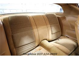 1979 Pontiac Firebird Trans Am (CC-1953682) for sale in Springfield, Ohio