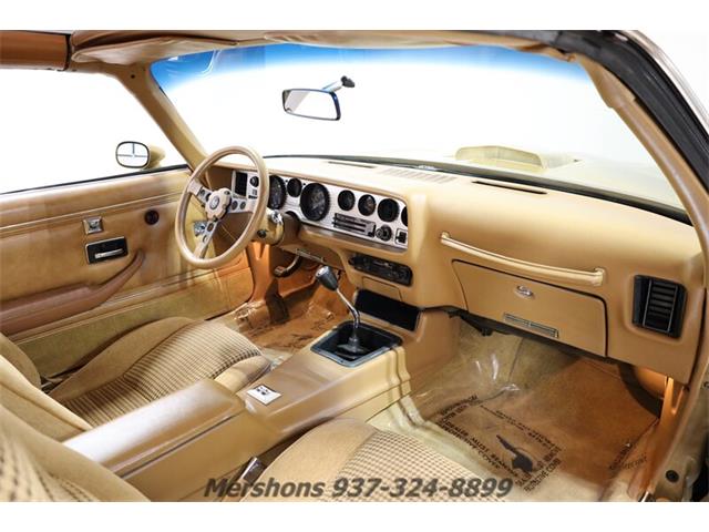 1979 Pontiac Firebird Trans Am (CC-1953682) for sale in Springfield, Ohio