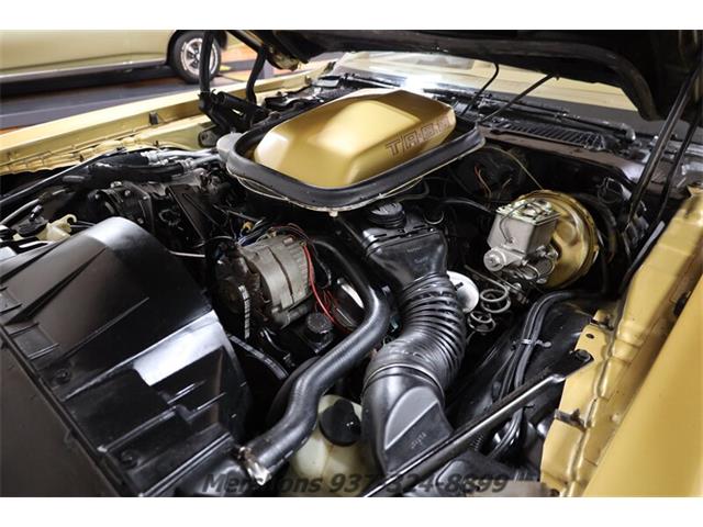 1979 Pontiac Firebird Trans Am (CC-1953682) for sale in Springfield, Ohio