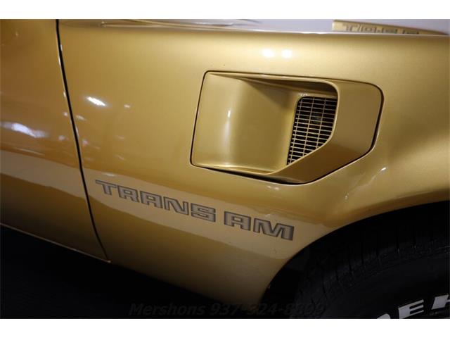 1979 Pontiac Firebird Trans Am (CC-1953682) for sale in Springfield, Ohio