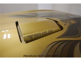 1979 Pontiac Firebird Trans Am (CC-1953682) for sale in Springfield, Ohio