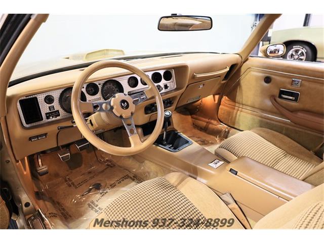 1979 Pontiac Firebird Trans Am (CC-1953682) for sale in Springfield, Ohio