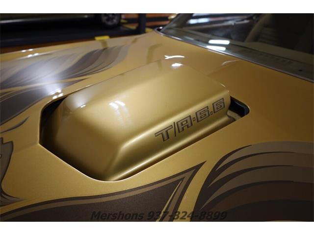 1979 Pontiac Firebird Trans Am (CC-1953682) for sale in Springfield, Ohio