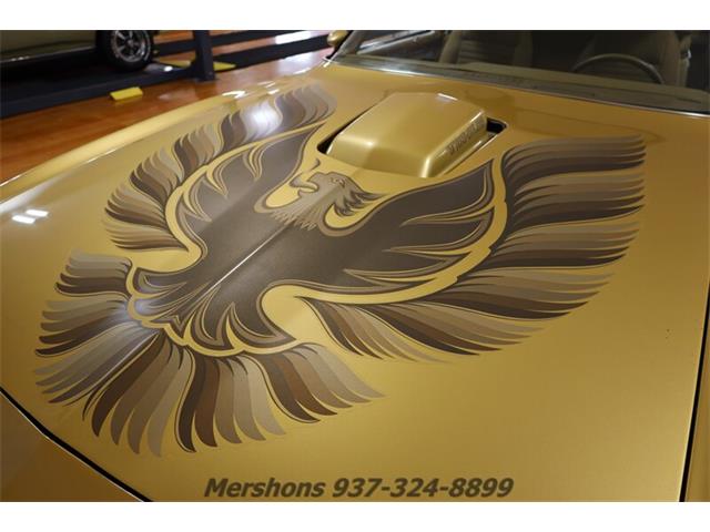 1979 Pontiac Firebird Trans Am (CC-1953682) for sale in Springfield, Ohio