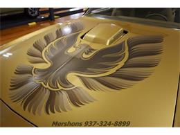 1979 Pontiac Firebird Trans Am (CC-1953682) for sale in Springfield, Ohio