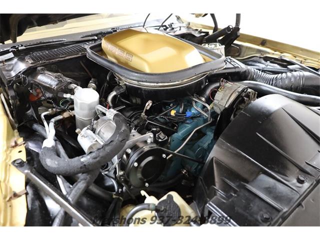 1979 Pontiac Firebird Trans Am (CC-1953682) for sale in Springfield, Ohio