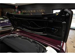 1995 Chevrolet Corvette (CC-1955080) for sale in Venice, Florida