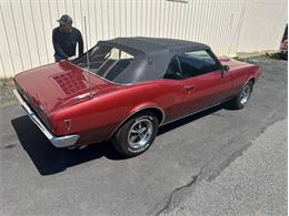 1968 Pontiac Firebird (CC-1955406) for sale in Greensboro, North Carolina