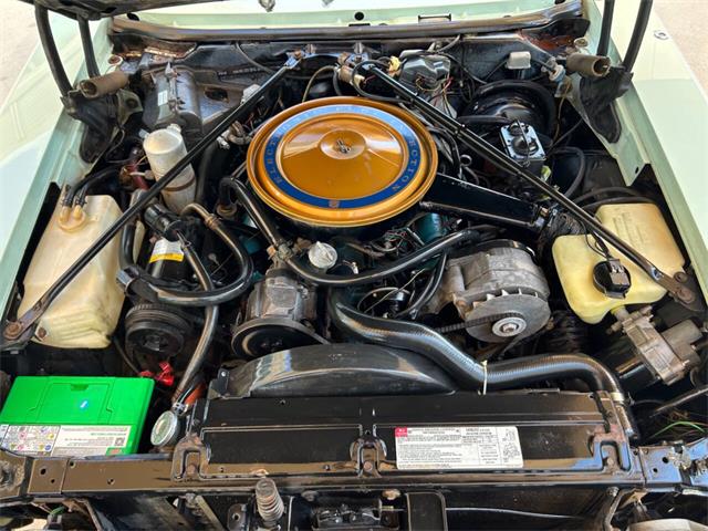 1977 Cadillac Seville (CC-1956657) for sale in Bradenton, Florida