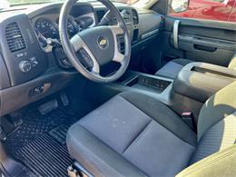 2010 Chevrolet Silverado 1500 (CC-1956943) for sale in Arlington Heights, Illinois