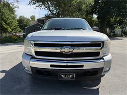 2010 Chevrolet Silverado 1500 (CC-1956943) for sale in Arlington Heights, Illinois