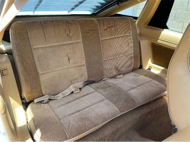 1982 Dodge Charger (CC-1957103) for sale in Cadillac, Michigan