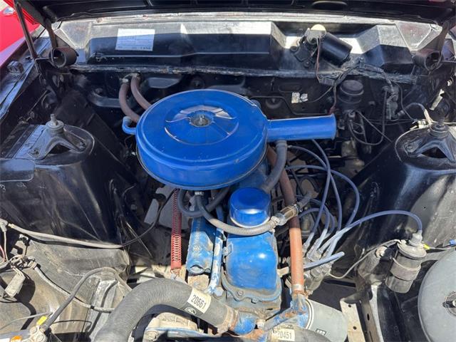 1966 Ford Falcon (CC-1957113) for sale in Henderson, Nevada