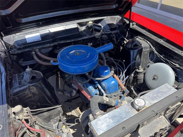 1966 Ford Falcon (CC-1957113) for sale in Henderson, Nevada