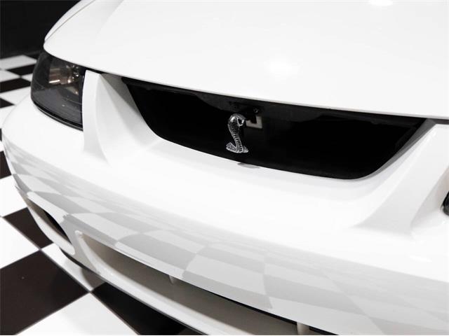 2003 Ford Mustang SVT Cobra (CC-1957494) for sale in Addison, Illinois