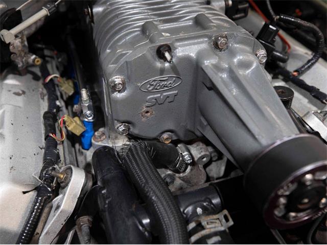 2003 Ford Mustang SVT Cobra (CC-1957494) for sale in Addison, Illinois