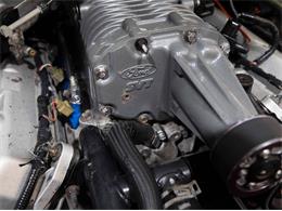 2003 Ford Mustang SVT Cobra (CC-1957494) for sale in Addison, Illinois