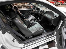 2003 Ford Mustang SVT Cobra (CC-1957494) for sale in Addison, Illinois