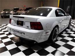 2003 Ford Mustang SVT Cobra (CC-1957494) for sale in Addison, Illinois