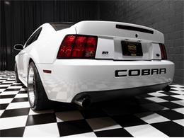 2003 Ford Mustang SVT Cobra (CC-1957494) for sale in Addison, Illinois