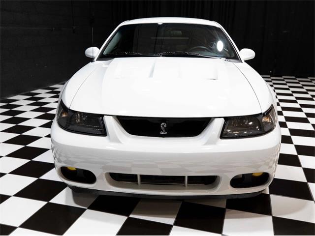 2003 Ford Mustang SVT Cobra (CC-1957494) for sale in Addison, Illinois