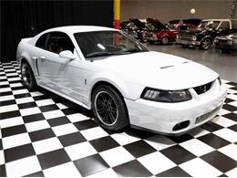 2003 Ford Mustang SVT Cobra (CC-1957494) for sale in Addison, Illinois