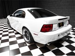 2003 Ford Mustang SVT Cobra (CC-1957494) for sale in Addison, Illinois