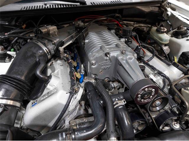 2003 Ford Mustang SVT Cobra (CC-1957494) for sale in Addison, Illinois