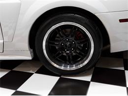 2003 Ford Mustang SVT Cobra (CC-1957494) for sale in Addison, Illinois