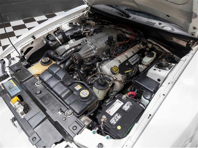 2003 Ford Mustang SVT Cobra (CC-1957494) for sale in Addison, Illinois