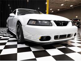 2003 Ford Mustang SVT Cobra (CC-1957494) for sale in Addison, Illinois