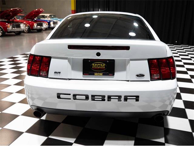 2003 Ford Mustang SVT Cobra (CC-1957494) for sale in Addison, Illinois