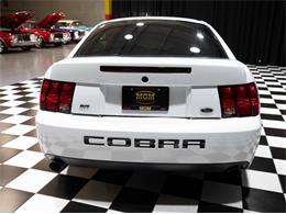 2003 Ford Mustang SVT Cobra (CC-1957494) for sale in Addison, Illinois