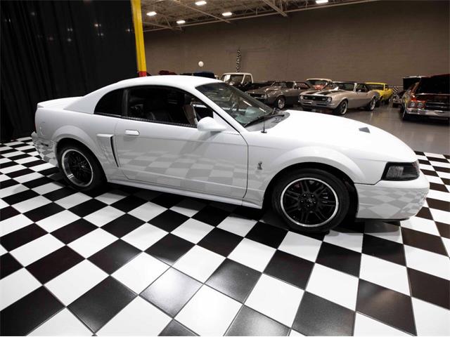 2003 Ford Mustang SVT Cobra (CC-1957494) for sale in Addison, Illinois