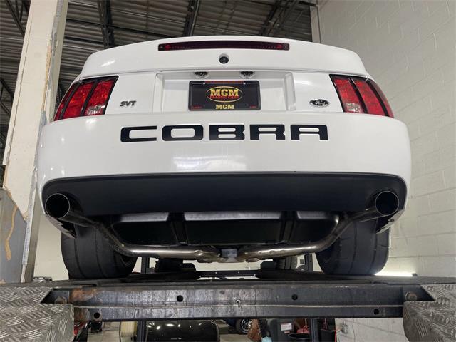 2003 Ford Mustang SVT Cobra (CC-1957494) for sale in Addison, Illinois