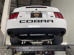 2003 Ford Mustang SVT Cobra (CC-1957494) for sale in Addison, Illinois