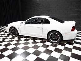2003 Ford Mustang SVT Cobra (CC-1957494) for sale in Addison, Illinois